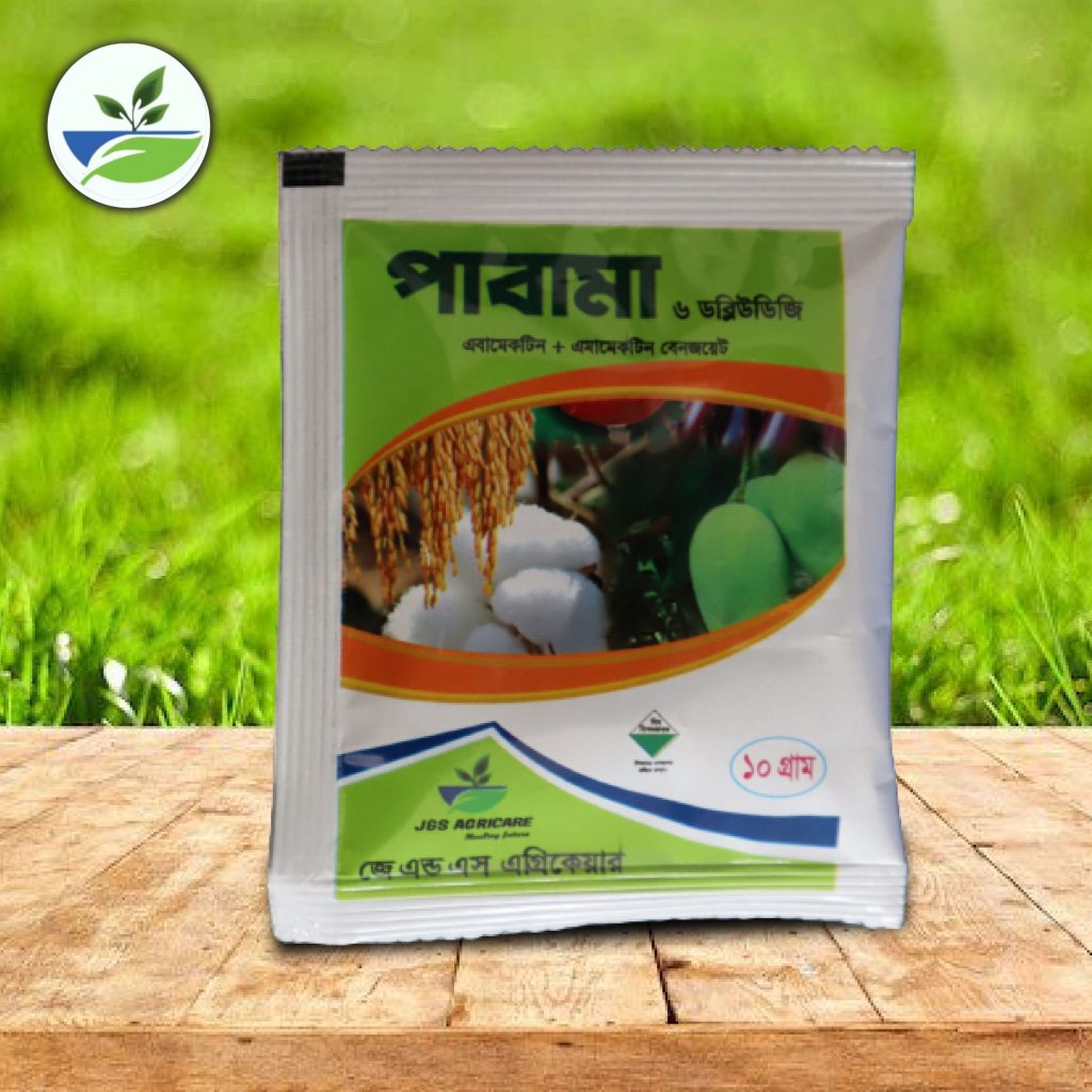 পাবামা ৬ ডব্লিউজি