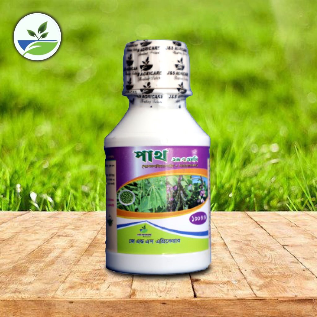 পাথ ২৪.৭ এসসি