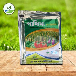 পাথিমা ৪০ ডব্লিউডিজি