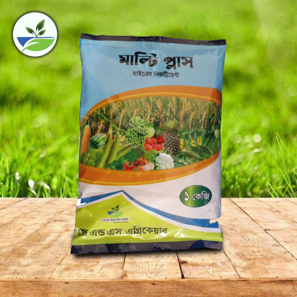 মাল্টি প্লাস