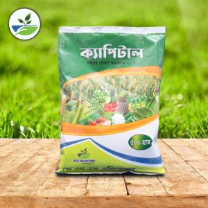 ক্যাপিটাল সলুবর রোরণ